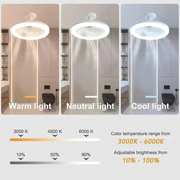 Stylish Ceiling Fan Light Combo
