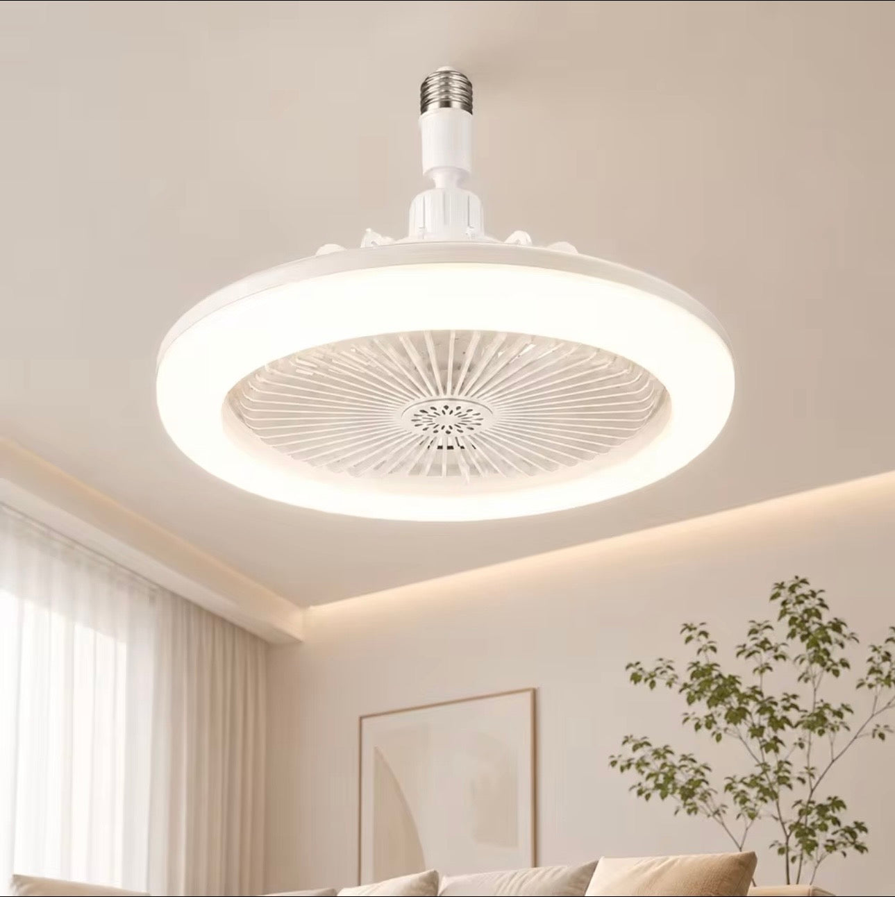 Stylish Ceiling Fan Light Combo.