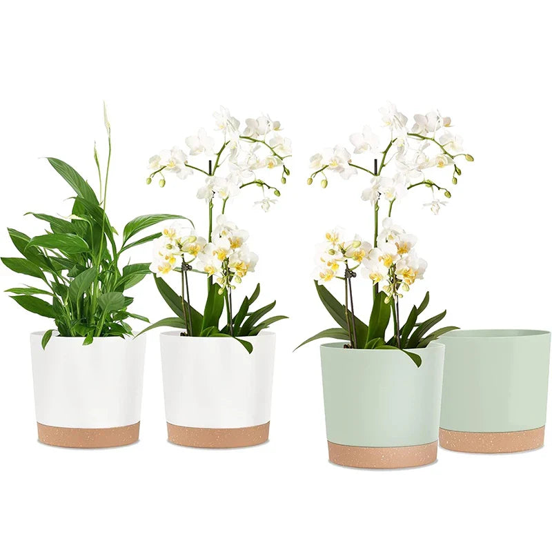 Plant Pots for Home