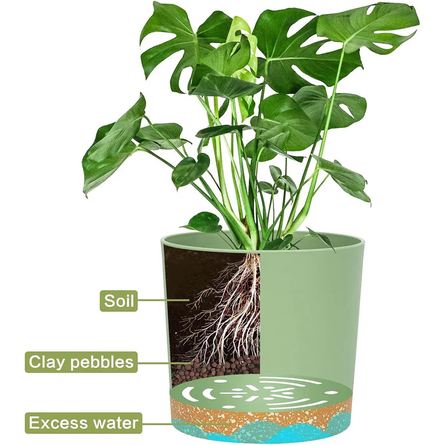 Plant Pots for Home