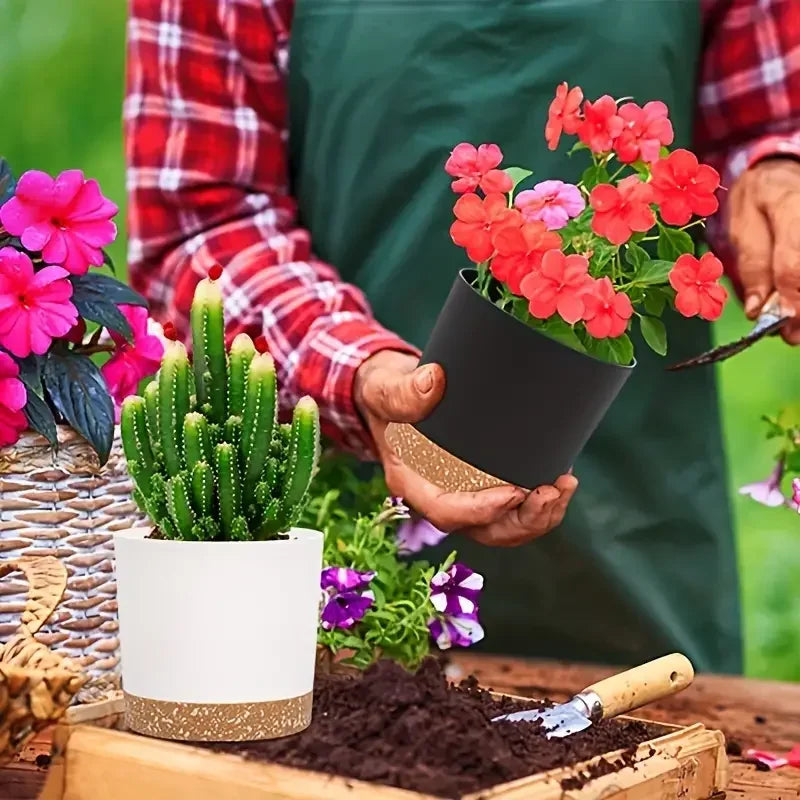 Plant Pots for Home