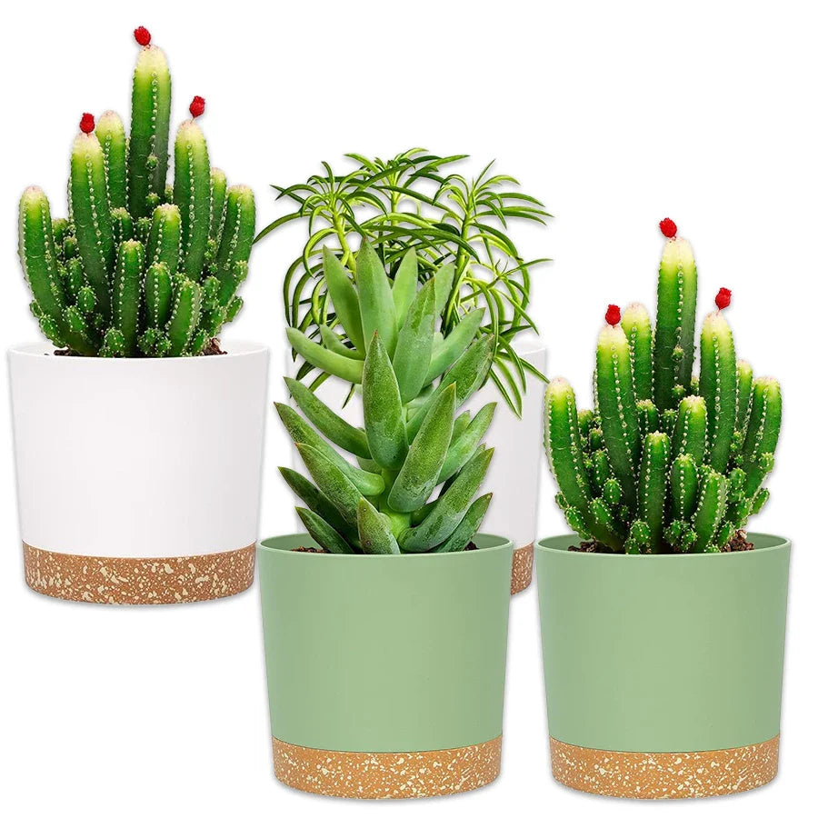 Plant Pots for Home